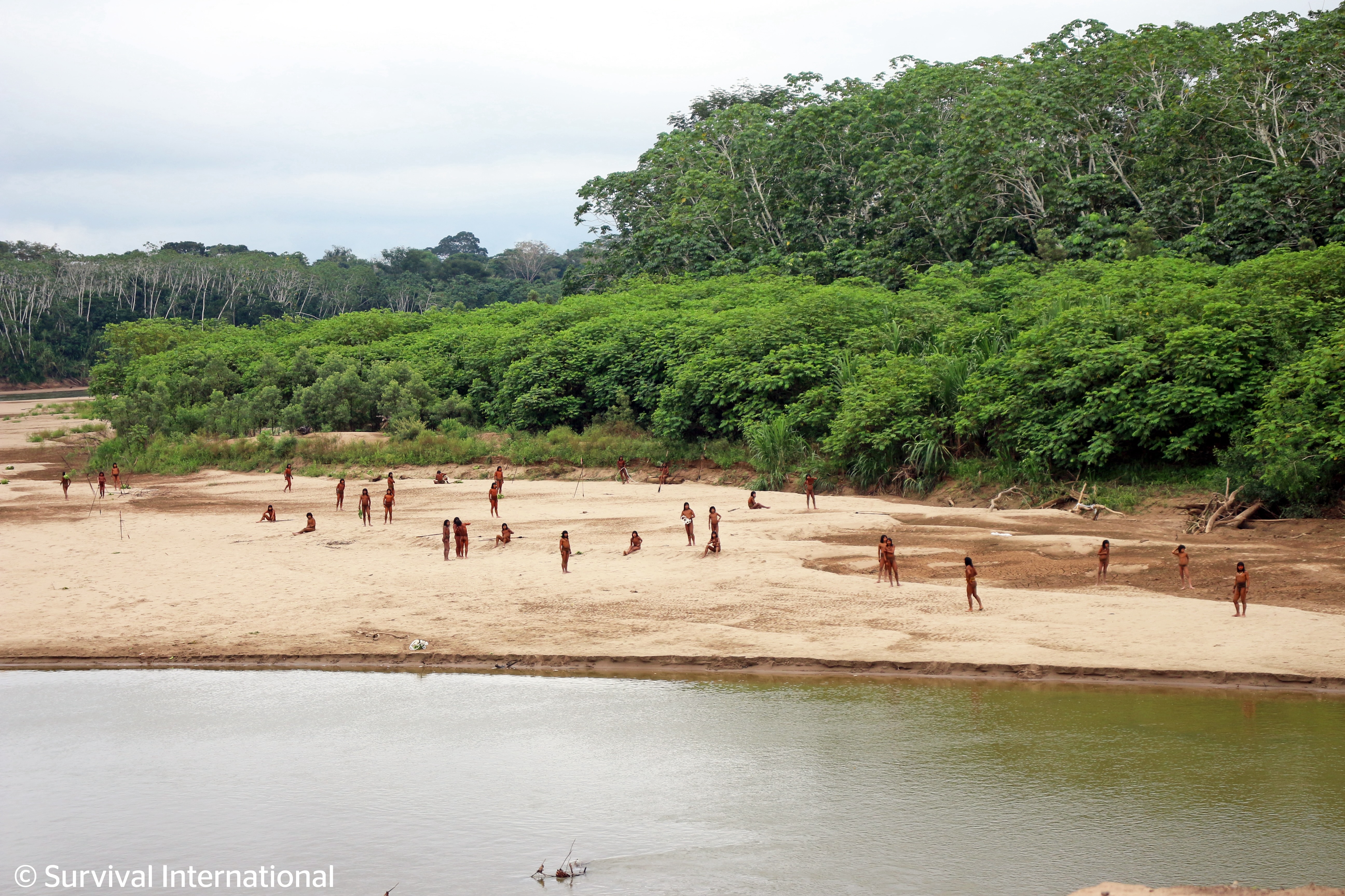 Extraordinary new images released today show dozens of uncontacted people in the Peruvian Amazon, just a few miles from a number of logging concession