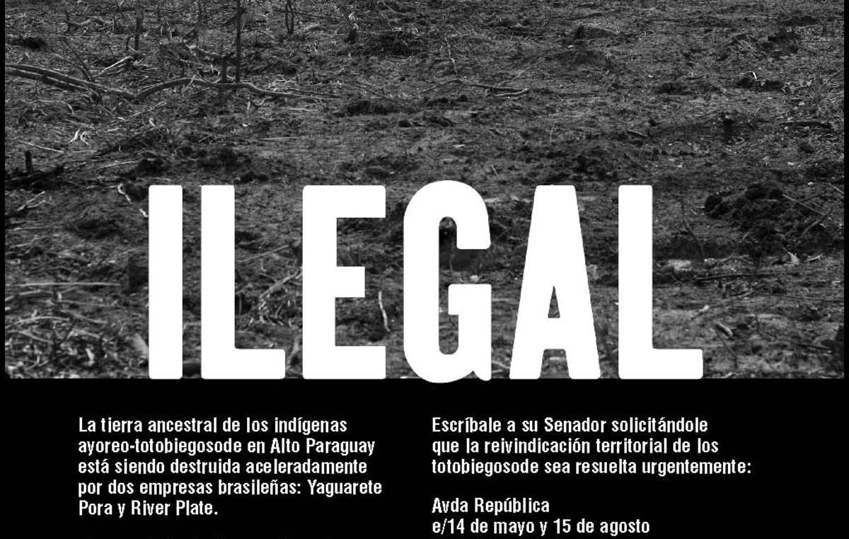 Publicité de Survival dans le principal journal paraguayen, Ultima Hora