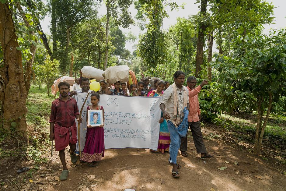 <b>Jenu Kuruba retomada</b><br><br> Im Mai "kehrten 52 Familien der Jenu Kuruba":https://www.survivalinternational.de/nachrichten/14202 auf ihr angestammtes Land im Nagarhole-Tigerreservat zurück. In Karadikallu begannen sie, Häuser und heilige Stätten wieder aufzubauen – ein wichtiger Schritt zu einem selbstbestimmten Leben. Die Jenu Kuruba waren vor 40 Jahren gewaltsam vertrieben worden, obwohl sie über Generationen hinweg Seite an Seite mit den Tigern lebten, sie verehrten und schützten. Wenige Wochen nach ihrer Rückkehr riss die Forstbehörde einige der neu errichteten Häuser ab. Doch die Jenu Kuruba blieben standhaft. Ein Angehöriger sagte: „Wir sind sehr froh, dass wir auf das Land unserer Ahnen zurückgekehrt sind, und egal, was die Forstbehörde tut, wir werden es nicht verlassen.“ Ihre Entschlossenheit berührte viele: Seit Mai haben über 12.000 Menschen die Jenu Kuruba mit einer Eilaktion unterstützt. Zudem reagierte das indische Ministerium für Stammesangelegenheiten auf einen Brief von Survival-Brief und forderte lokalen Behörden auf, alle notwendigen Maßnahmen zum Schutz der Landrechte der Gemeinde zu ergreifen.