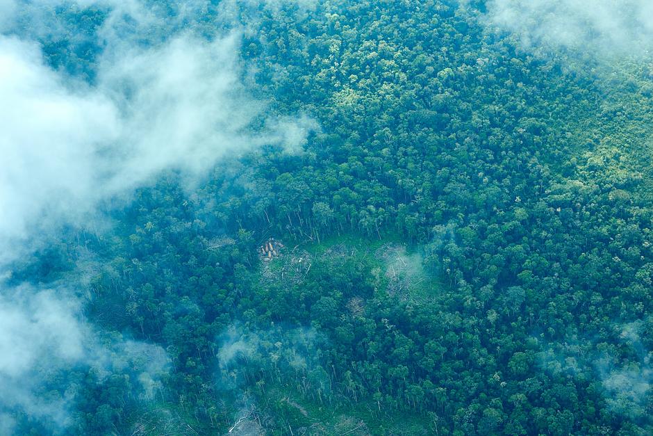 <b>Erster weltweiter Bericht über unkontaktierte Völker</b><br><br> Im Oktober haben wir unseren wegweisenden "Bericht über unkontaktierte indigene Völker":https://unkontaktiert.de/ veröffentlicht – den ersten umfassenden Überblick über ihre Situation weltweit. „Am Limit: Unkontaktierte Völker im Kampf für Selbstbestimmung“ ist das Ergebnis von 56 Jahren Engagement von Survival International für die Rechte dieser Völker. Unsere Recherchen zeigen: Weltweit gibt es mindestens 196 unkontaktierte Völker oder Gruppen in 10 Ländern. Alle sind in ihrer Existenz bedroht – und fast die Hälfte könnte in den nächsten zehn Jahren ausgelöscht werden, wenn wir jetzt nicht handeln. Dank deiner Unterstützung konnten wir diesen Bericht realisieren – und gleichzeitig eine neue interaktive Website veröffentlichen, die das Leben, die Widerstandskraft und die Herausforderungen unkontaktierter Völker sichtbar macht. Dort findest du auch persönliche Geschichten von ehemals unkontaktierten indigenen Menschen, die Survival im Laufe der Jahre begleitet hat. Unser Bericht ist mehr als eine Dokumentation – er ist ein "Aufruf zum Handeln":https://handeln.survivalinternational.de/page/179833/action/1. 