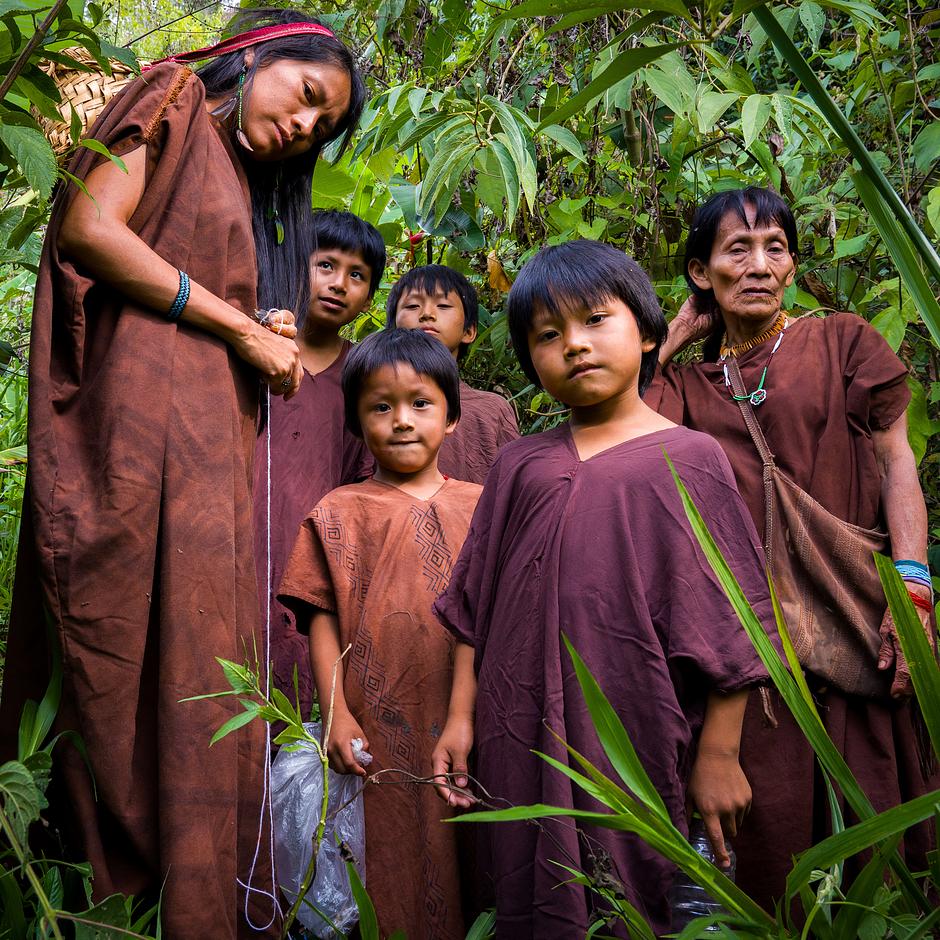 Famille ashaninka, Pérou, 2024 – Pachaka Samaniego (à droite) et sa famille à la recherche d'une source. La déforestation généralisée pratiquée par les agriculteurs andins qui se sont installés sur les terres des Ashaninka dans les contreforts des Andes a eu des conséquences dramatiques sur leur communauté : les colons ont rasé une grande partie de la forêt tropicale humide près du village pour y planter des vergers d'agrumes, d'avocatiers et de caféiers. Cela a modifié les cycles pluviométriques locaux, entraînant une chaleur extrême et une sécheresse persistante.
