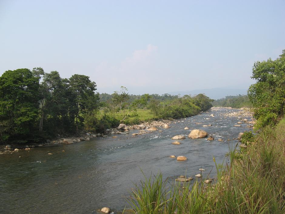 The tribes' ancestral homes are in an area known as the Manú National Park, a region so rich in biodiversity that it was made a UNESCO World Heritage site in 1987.

The park is bordered by the Nahua-Nanti Reserve, where the Nahua, Nanti and members of the Matsigenka tribes live.

