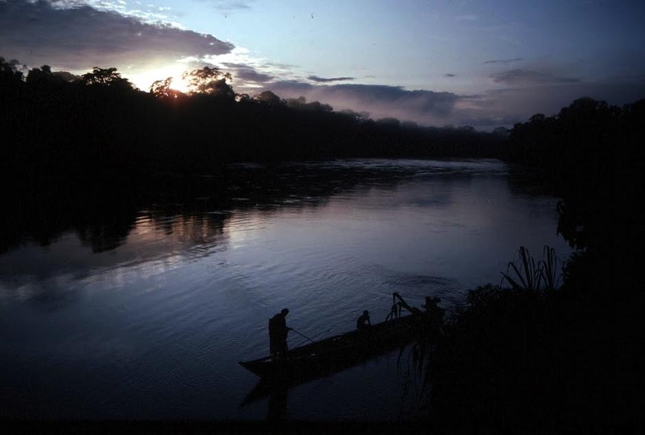 Dawn on the upper Manú River, when flocks of green-winged macaws eat from the cliff-side clay licks.

Over generations, the reserve's tribes have developed an intimate relationship with their forest home and amassed an encyclopaedic knowledge of its flora and fauna.

_The Matsigenka are aware of over 300 species of medicinal plants to treat common illnesses_, says Glenn Shepard _, as well as those for dispelling nightmares, preventing babies from crying at night and improving the skills of hunting dogs_.