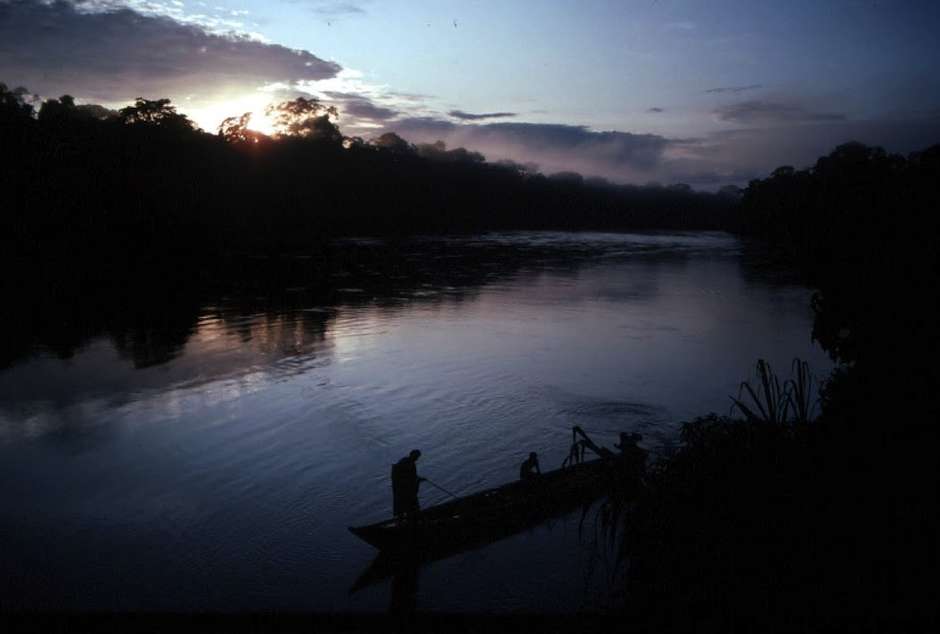 Dawn on the upper Manú River, when flocks of green-winged macaws eat from the cliff-side clay licks.

Over generations, the reserve's tribes have developed an intimate relationship with their forest home and amassed an encyclopaedic knowledge of its flora and fauna.

_The Matsigenka are aware of over 300 species of medicinal plants to treat common illnesses_, says Glenn Shepard _, as well as those for dispelling nightmares, preventing babies from crying at night and improving the skills of hunting dogs_.