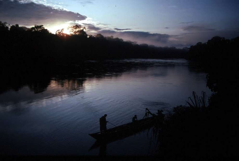 Dawn on the upper Manú River, when flocks of green-winged macaws eat from the cliff-side clay licks.

Over generations, the reserve's tribes have developed an intimate relationship with their forest home and amassed an encyclopaedic knowledge of its flora and fauna.

_The Matsigenka are aware of over 300 species of medicinal plants to treat common illnesses_, says Glenn Shepard _, as well as those for dispelling nightmares, preventing babies from crying at night and improving the skills of hunting dogs_.