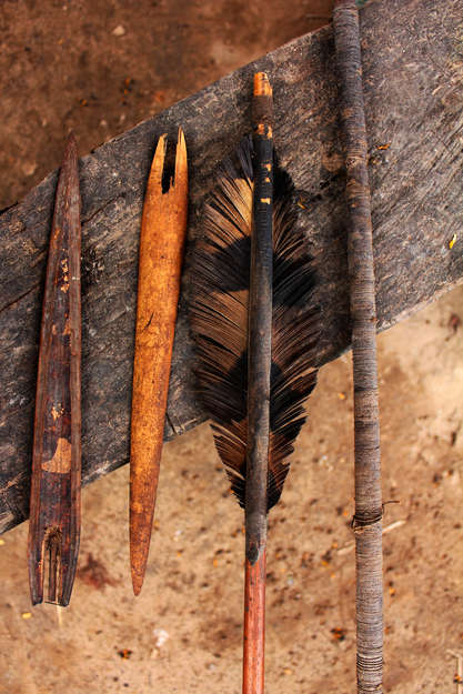 These arrows were collected by a Matsigenka school teacher in 2005, after a group of isolated Mashco-Piro showered arrows on him to prevent him from getting any closer.

They are recognizable by their eagle-feather fletchings, wild cane shafts, and unique wrapping of a long coil of Cecropia-fiber twine the length of the arrow shaft.

