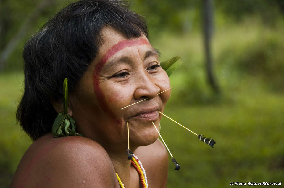 Rare 200 Amazon tribe spotted living in Brazilian 