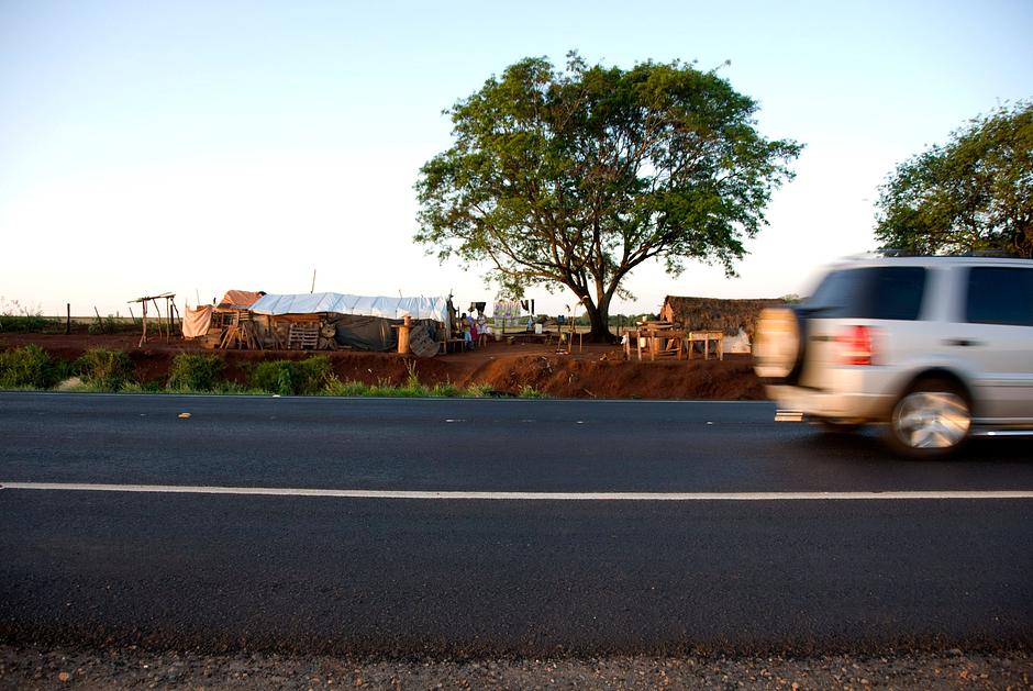 Hace una década, los terratenientes ganaderos intimidaron a Damiana y a su familia, y la expulsaron de sus tierras ancestrales. 

Desde entonces, la comunidad de Apy Ka'y ha vivido en condiciones degradantes junto a una carretera. El pasado 15 de septiembre, sin embargo, este grupo de guaraníes llevó a cabo una valiente "retomada" (reocupación) de la plantación de caña de azúcar que ha invadido su tierra ancestral. 

_Decidimos reocupar parte de nuestra tierra tradicional, donde hay un pozo de agua buena y restos de bosque_, declaró Damiana tras la retomada. _Ante las amenazas de muerte, la pérdida de nuestros familiares y tanto sufrimiento y dolor (...) por cuarta vez, decididos, volvemos a reocupar nuestra tierra_.


