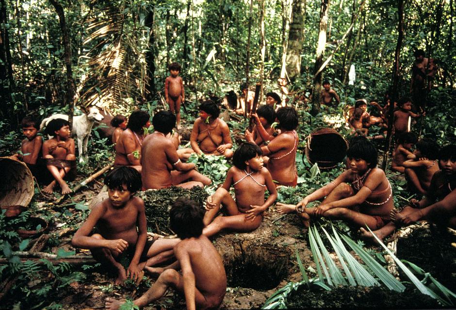 The Yanomami people are one of the largest, relatively isolated tribes in South America. 

Their ancestors probably migrated across the Bering Strait between Asia and America, possibly between 15,000 and 16,000 years ago, making their way slowly down the continent to South America.  

During the 1980s, approximately 40,000 illegal Brazilian gold miners invaded Yanomami land, exposing them to diseases to which they had little immunity. Within seven years, 20% of the Yanomami people died from diseases. 

In 1992, their land was demarcated, following an international campaign by Yanomami spokesman Davi Kopenawa, the Pro-Yanomami Commission and Survival.  

It is now the largest forested indigenous territory in the world.  