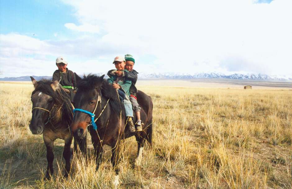 Mongolians define themselves as _the people of five animals_: horses, sheep, goats, camel and cattle.  Horses are prized above all others - one horse is traditionally worth ten goats - and are still an integral part of daily nomadic life. 

The national drink, _airag_, is made from fermented mares' milk; strands of horse-hair are used as ties in nomads' homes, or _gers_.

Their equestrian skills are exceptional; boys are often taught to ride as soon as they can walk, learning on silver-engraved leather saddles that are passed down the generations.  

During the _naadam_ festival, boys as young as 5 years old race bareback and shoeless across the Mongolian steppe for up to 30 kilometres.



