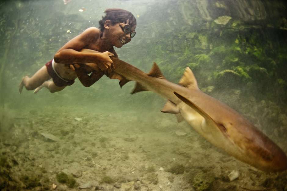A young boy with home-made wooden goggles grasps the tail of a tawny nurse shark as it pulls him through the shallow waters of the South China Sea. 

The Bajau people of Sabah, Malaysia, can free-dive up to 20 metres deep when hunting for fish, pearls and sea cucumbers on the sea-bed.

Known as 'sea gypsies', the Bajau spend most of their lives at sea; when they free-dive, they can hold their breath for up to three minutes.  

Scientists have discovered that the Bajau are submerged for up to 60% of the time they spend in the water, which is nearly as long as a sea-otter.
