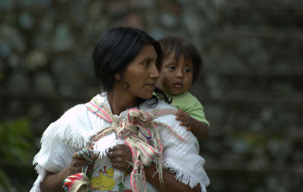 Les Indiens nasa de Colombie sont pris entre les deux feux violents de l'armée colombienne et des groupes armés illégaux © Francisco Pedro