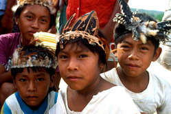 Makuxi children wearing decorative feather headdresses at Uiramutã, Raposa-Serra do Sol, Brazil.