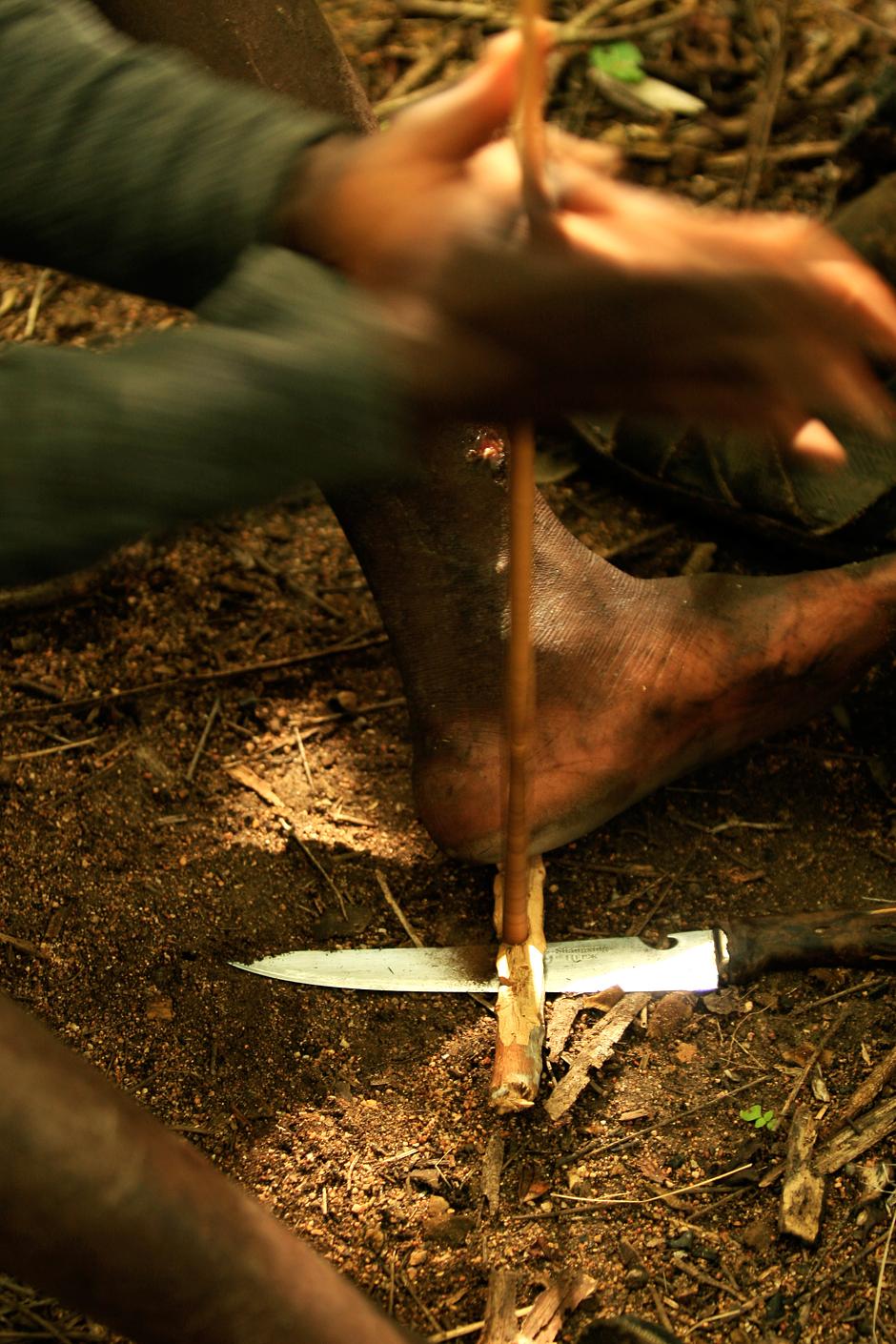 Twirling a stick quickly between his hands, a Hadza hunter creates a glowing ember which is used to light a handful of dry grass or bundle of twigs.

A hunter carries the flame as he climbs the tree, and places it inside a hollow where a hive has been created.  The bees are smoked out, and the honeycomb removed.