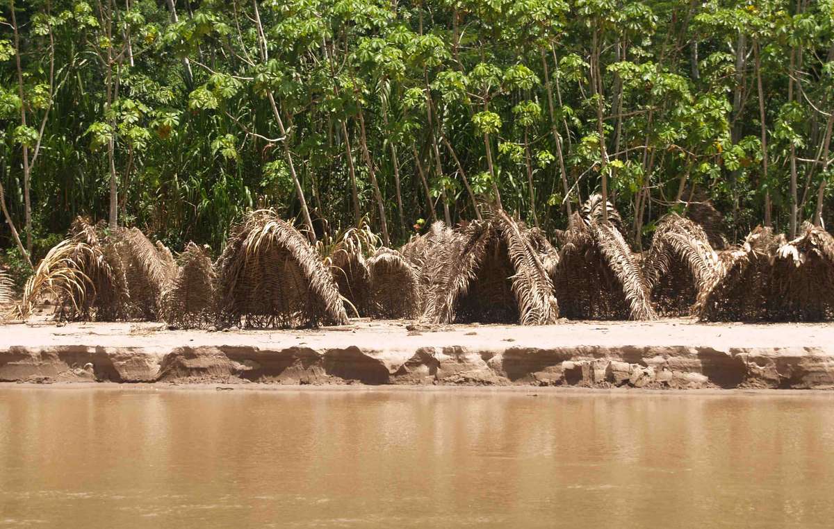 Evidence of uncontacted tribes in south-east Peru. A lot of evidence for the tribes has also been found in the region where Perenco hopes to work.
