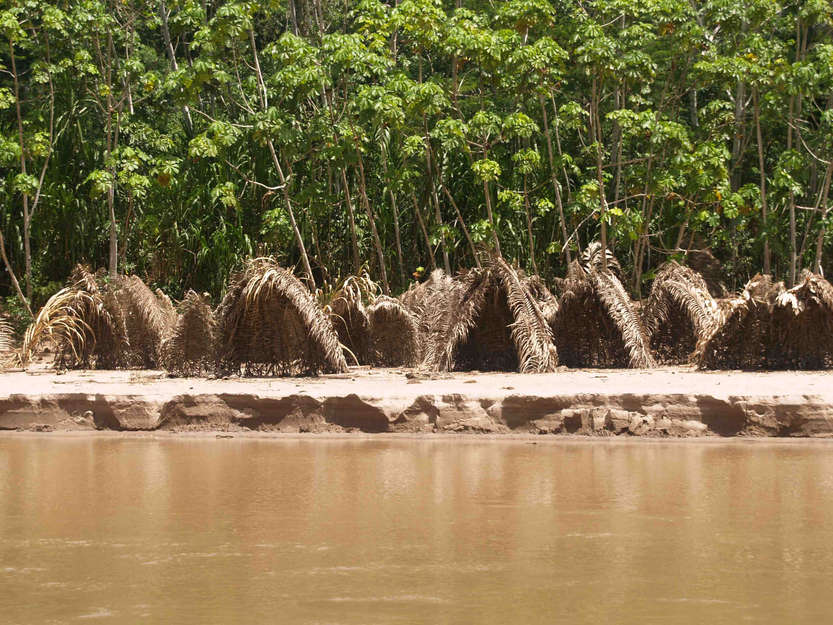 Cabañas de pesca de los indígenas aislados localizadas en la orilla del río,  sudeste de Perú, 2008.