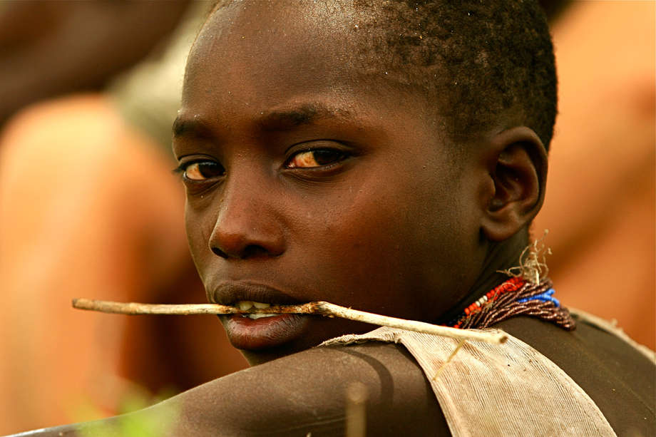 During the last 5 years, however, increased worldwide awareness of their situation has led to some significant successes for the Hadza.

They faced eviction in 2007 when a foreign safari company won rights from the Tanzanian government to a large hunting concession. The company were forced to withdraw from the deal following an international campaign led by the Hadza themselves along with a coalition of local and international ngos.

More recently, in October 2011, a Hadza community of 700 people were issued with titles for land encompassing more than 20,000 hectares.  It was a historic moment: the first time a Tanzanian government had formally recognized a minority tribe’s land rights.

_We are very happy_, the Hadza told Survival International. _Now we need to make sure we get land titles for other Hadza communities_.