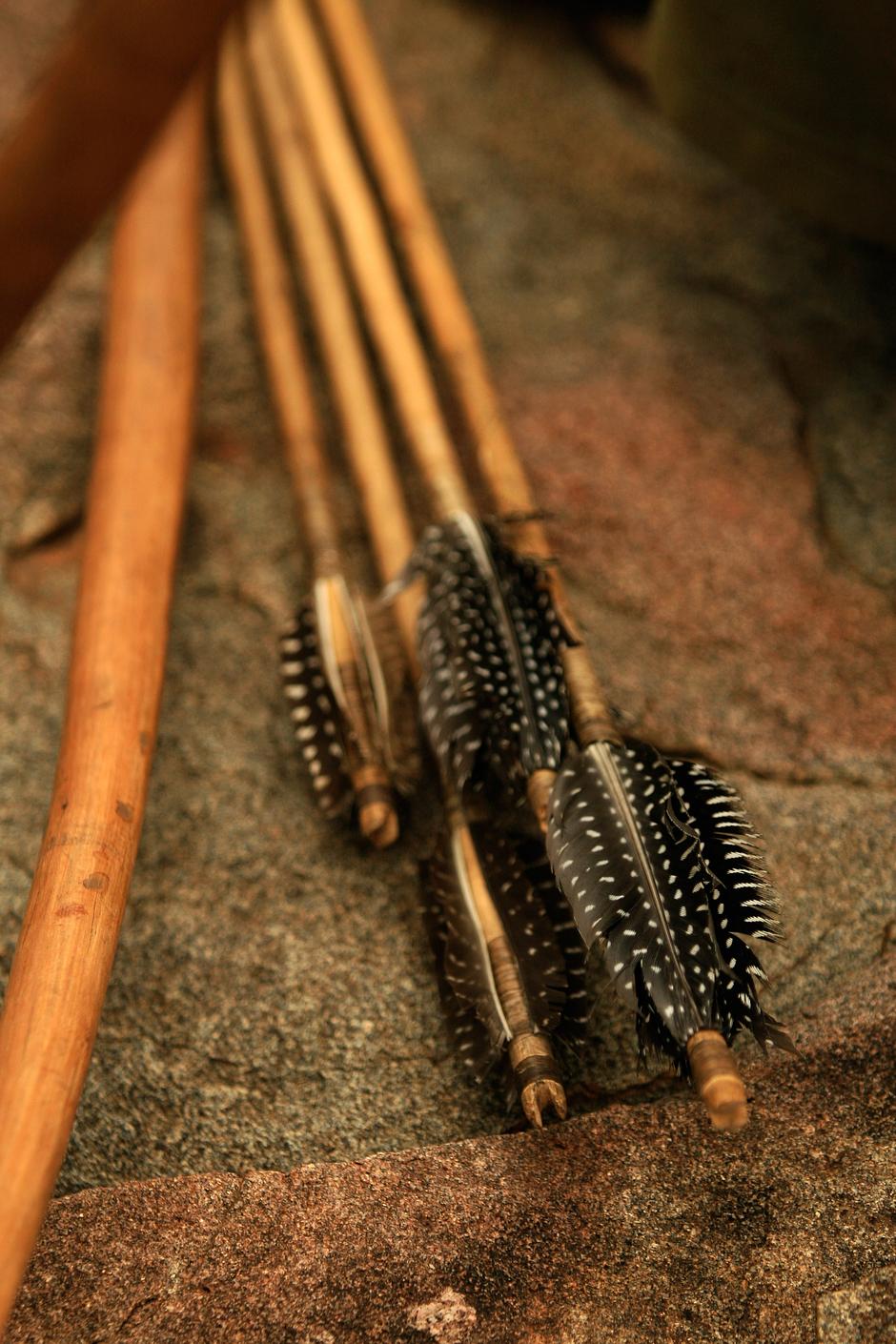 Hadza men traditionally hunted with bow and arrow at dawn and dusk. 

The bowstrings are made from animal ligaments; the arrows meticulously crafted from _kongoroko_ wood and fletched with guineafowl feathers.



