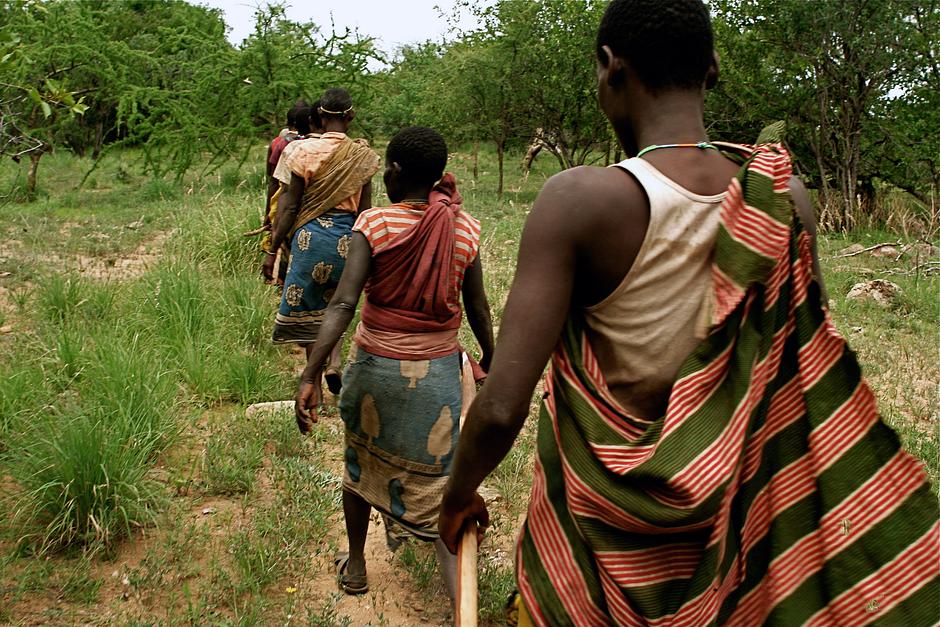 Hadza women left camp most mornings with digging sticks, which they used to dig up deep tubers.  They searched for roots, tubers, berries and fruit such as Baobab, Grewia, Cordia and Salvadora.  

_We Hadzabe have no record of famine in our oral history_, they say.  _The reason is that we depend on natural products of the environment ... by living in this way, the environment we depend on is not damaged and remains healthy_.

