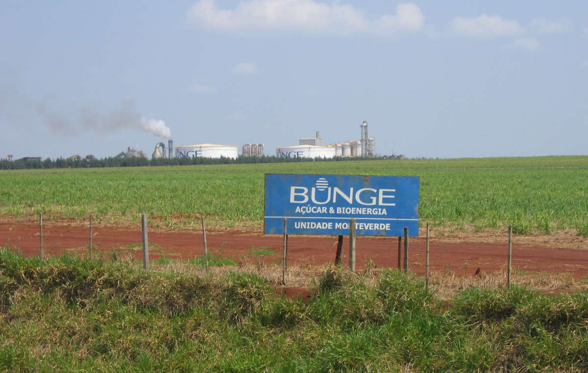 Bunge kauft Zuckerrohr, das auf dem Land der Guarani wächst.