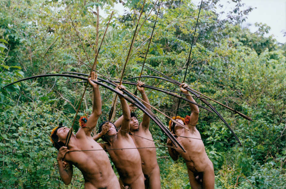 Les Awá, la tribu indienne d'Amazonie brésilienne la plus menacée du monde, sont de grands archers.

Ils chassent avec des arcs mesurant jusqu'à 1,85 m et transportent des carquois de flèches confectionnées en bambou, fibre de palmier, résine et plumes d'oiseaux. Les pointes des flèches varient en forme et en taille, selon la proie.

Les chasseurs guettent l'apparition du singe hurleur assis sur des branches d'arbres à plus de 30 mètres de hauteur. Ils tirent leurs flèches depuis cette hauteur vertigineuse.

Aujourd'hui les forêts awá connaissent le taux de déforestation le plus élevé d'Amazonie. Ils ne survivront que si leur territoire est protégé.

La nuit, ils s'éclairent dans la forêt à l'aide de torches de résine.