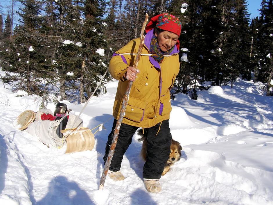 Elizabeth 'Tshaukuesh' Penashue is an 84 year old Innu woman from Sheshatshiu in Labrador.

For many years she has led a spring-time walk through the local Mealy Mountains, with the aim of reconnecting the younger Innu generation with the lands they have lived on for nearly 8,000 years.

_I don’t want to see my children lose everything.  I don’t want them to lose their Innu identity, culture and life_, she told a Survival International researcher. _Before I'm gone, I have to teach the children.  If nobody teaches our children, what will they think when they grow up? Will they think ‘I’m not Innu, I’m a white person’?_  

_It is important to know who you are. I am Innu.  The country is my life.  I’m proud that I was born in a tent.  No nurse, no doctor. My father helped my mother give birth_.

_When I walk into the country, I feel like I’m going home, into my own place. The Innu place_. 

Elisabeth began her 13th - and final - walk in February 2014.  Before she set out, however, she discovered that she has been denied access to ancestral Innu land around Muskrat Falls by energy company Nalcor corporation, which is constructing a hydroelectric mega-project in the area.