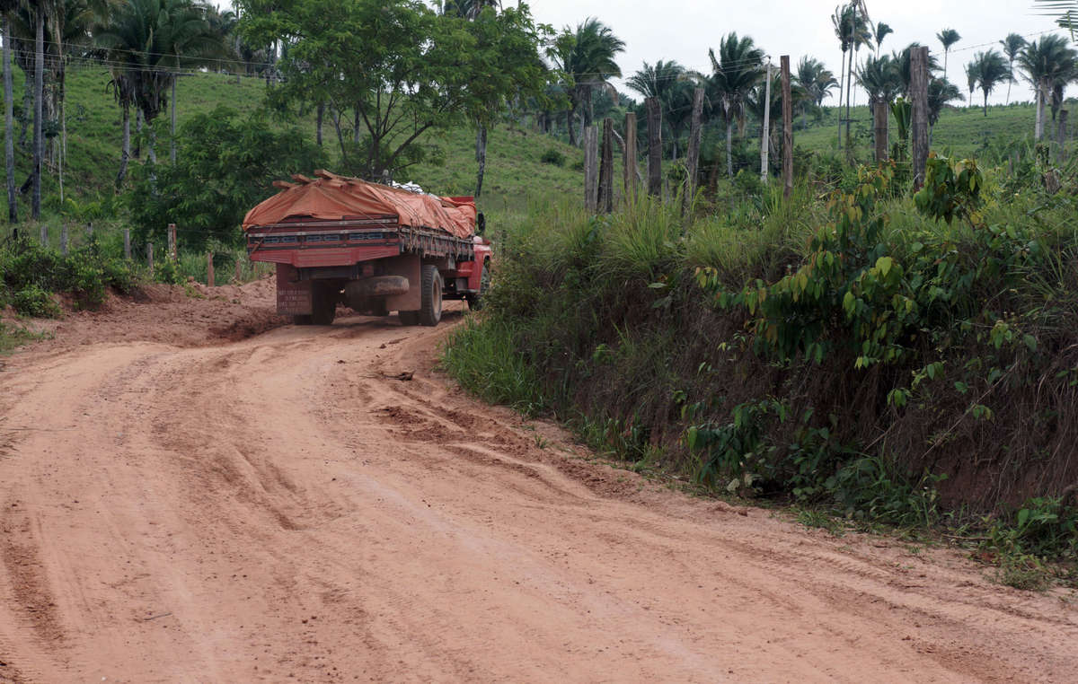 Logging trucks laden with timber leave the Awá's forest day and night.