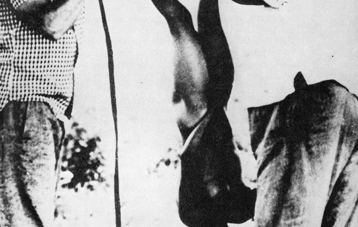 Atrocities against the Cinta Larga tribe were exposed in the Figueiredo report, commissioned by Brazil's Minister of the Interior in 1967 and recently rediscovered. After shooting the head off her baby, the killers cut the mother in half.