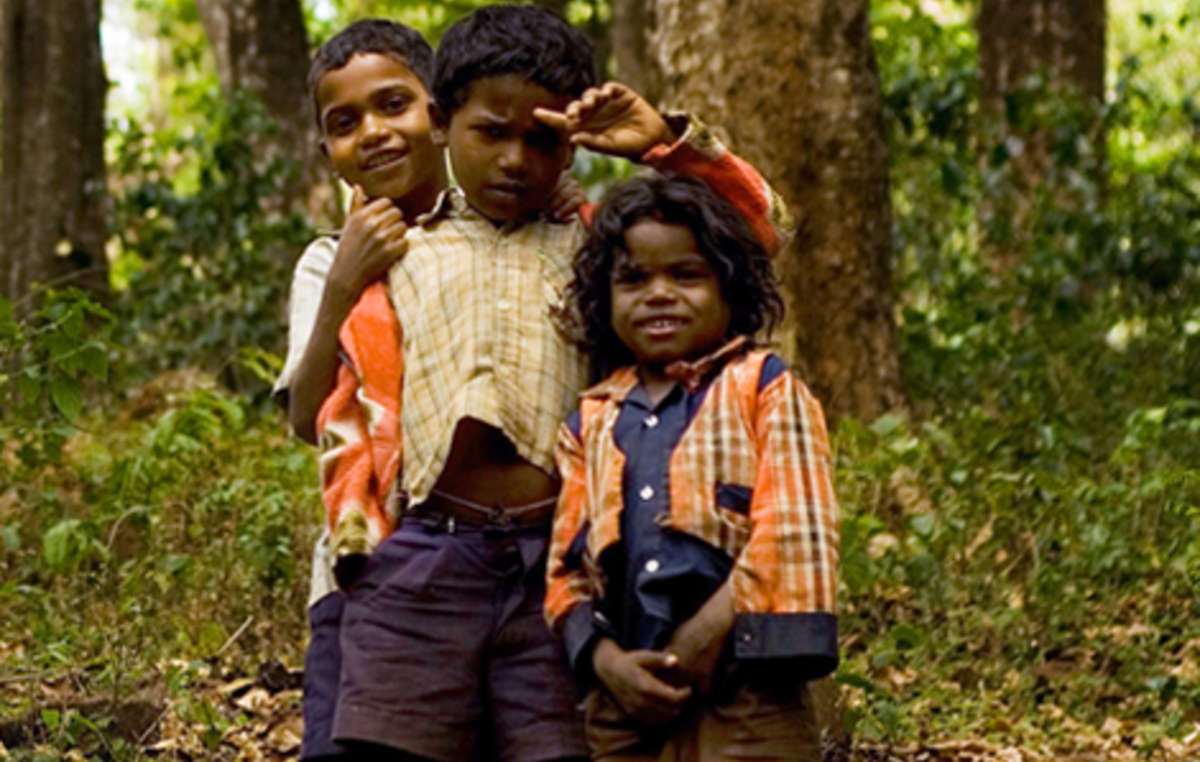 In 2011, the Soliga made history when they succeeded in having their forest rights upheld in an area that had been turned into a tiger reserve. They faced the threat of eviction, and won. The Soliga’s success has given hope to other tribal communities whose lands are being stolen in the name of “conservation”.