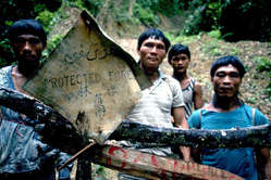 Penan men stand by a forest blockade.