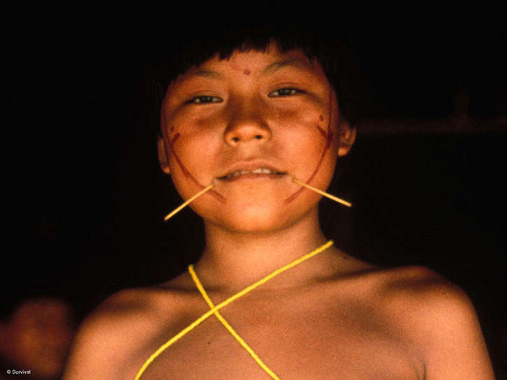 Les Yanomami