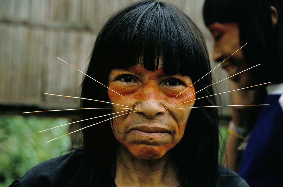 The Matsés are known as 'jaguar people' for their feline facial decorations.  

To the Matsés, plants and animals have spirits just as humans do, which can ail or heal a human body.

Despite hundreds of years of contact with expanding frontier society, Brazilian Indians have, in most cases, maintained their languages and customs in the face of the massive theft of, and continuing encroachment onto, their lands.