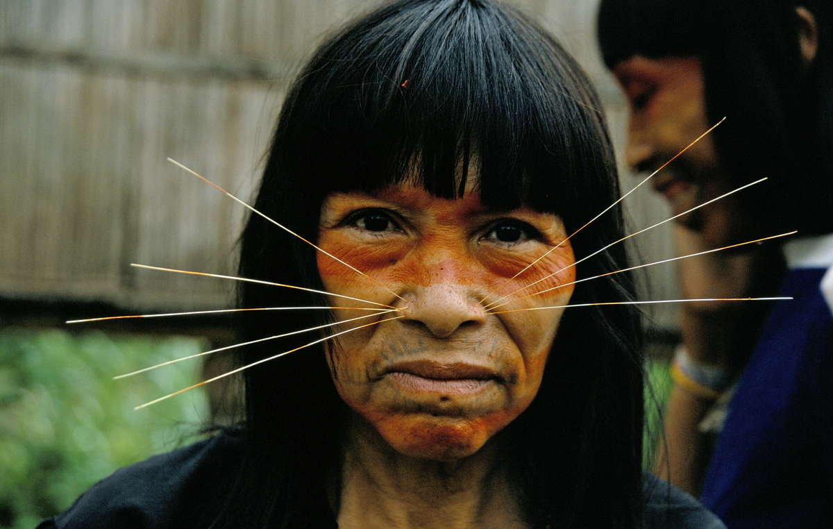 Los matsés han cuidado durante generaciones de una extensa zona de la Frontera amazónica de los no contactados.