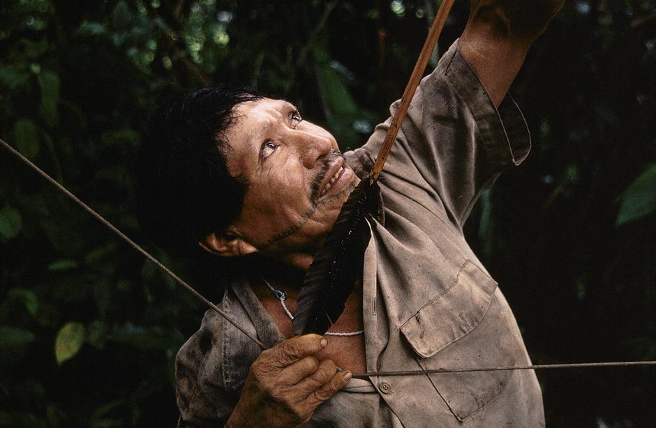 The Matsés are skilled hunters, and specialists in the use of bows and arrows: arrow shafts are made from cane and decorated with cotton string and a golden grass. Prey includes spider monkeys, white-lipped peccaries, tapir, woolly monkeys and armadillo; in the dry season they also collect river turtle eggs. 

The Matsés were first contacted in 1969 by members of a US missionary group, who arrived following violent clashes between local settlers attempting to build a road through the Matsés territory, and the Indians, who were defending their land. 

Survival International is now campaigning to ensure that their lands are not devastated by Pacific Rubiales, and that their survival as a people is ensured.