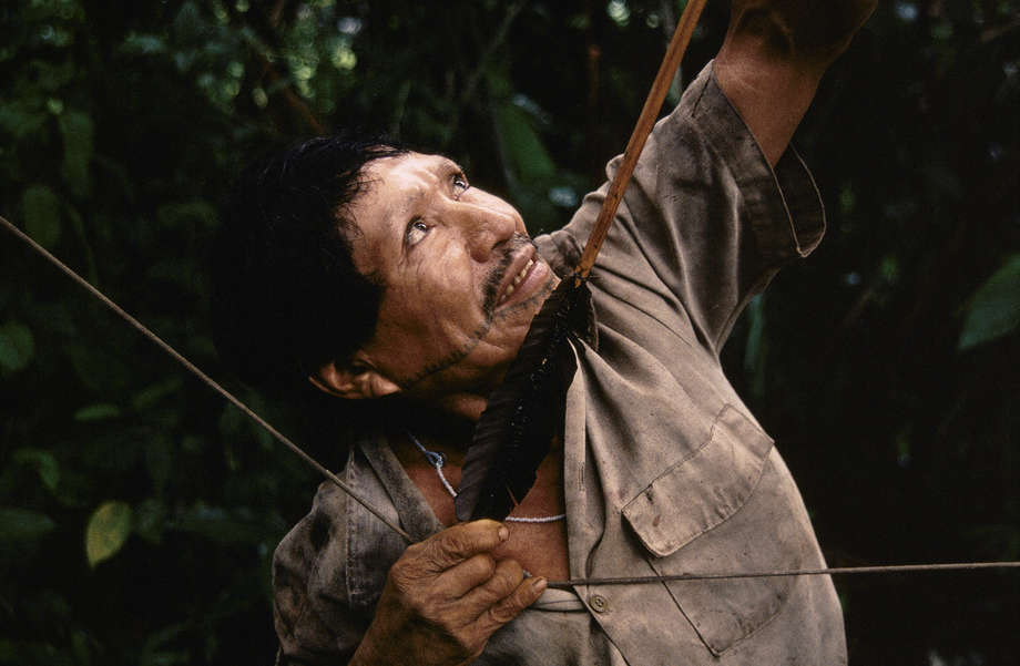 The Matsés are skilled hunters, and specialists in the use of bows and arrows: arrow shafts are made from cane and decorated with cotton string and a golden grass. Prey includes spider monkeys, white-lipped peccaries, tapir, woolly monkeys and armadillo; in the dry season they also collect river turtle eggs. 

The Matsés were first contacted in 1969 by members of a US missionary group, who arrived following violent clashes between local settlers attempting to build a road through the Matsés territory, and the Indians, who were defending their land. 

Survival International is now campaigning to ensure that their lands are not devastated by Pacific Rubiales, and that their survival as a people is ensured.
