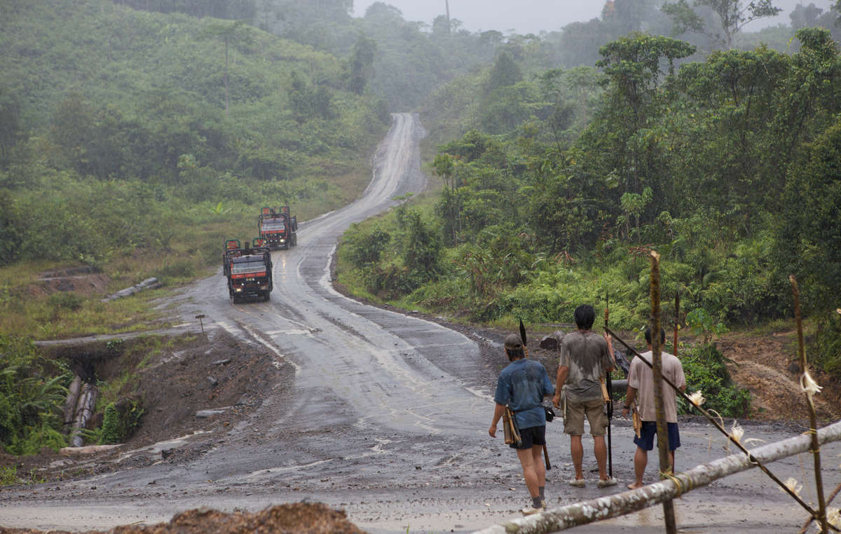 Penan armed with blowpipes block road as logging trucks approach.