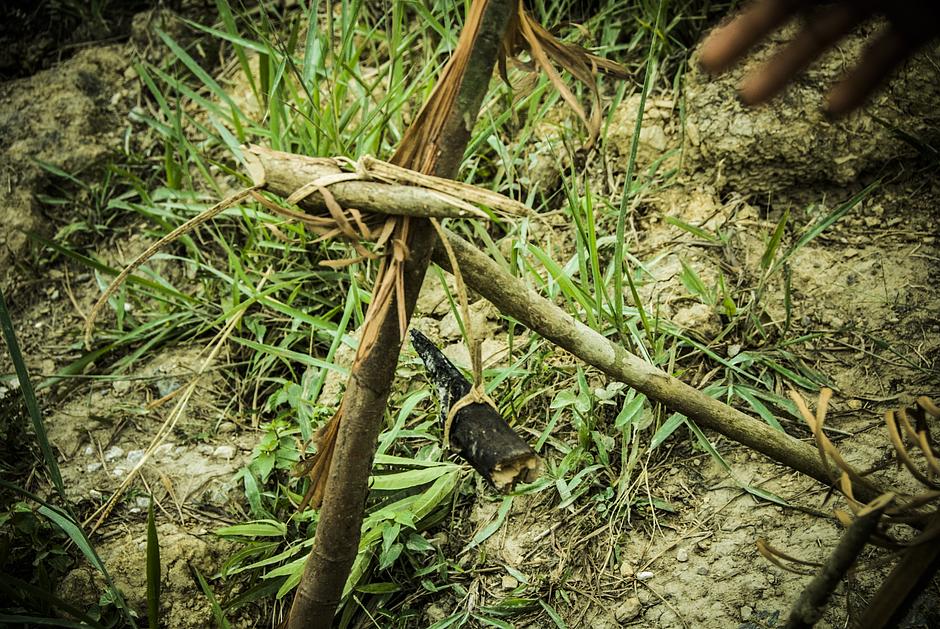 Until the 1960s all Penan people lived as nomads, communicating with different groups when on the move in the rainforest through a complex signal system of stick and leaf symbols they call _oroo_.  

_Oroo_ relayed such messages as, _the person passing here was unwell_, or _the person who passed here was hungry_.
