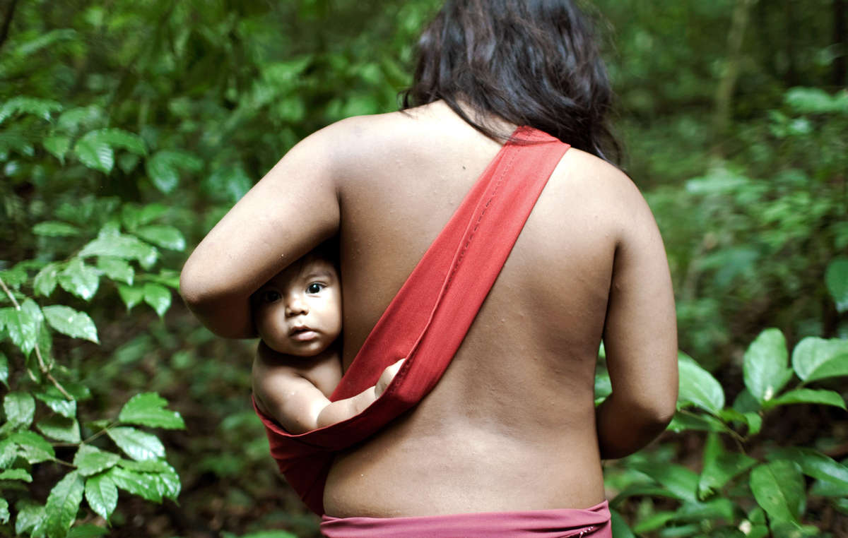 Les Awá sont la tribu la plus menacée au monde. Ils sont menacés d'extinction par les déforestations illégales et de violentes attaques.