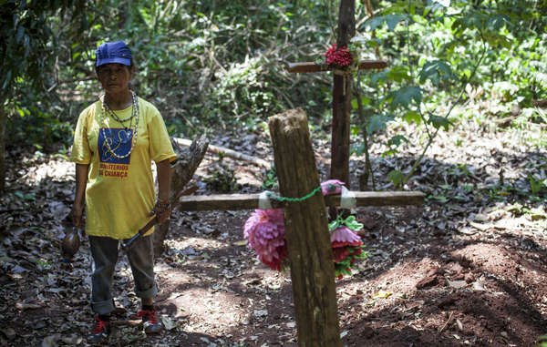Η Damiana Cavanha, ηγέτης της κοινότητας Apy Ka'y, έχει δει τους θανάτους τριών παιδιών της και του συζύγου της.  Σχεδιάζει αποφασιστικά μια επανεμφάνιση της πατρίδας τους όπου θάβονται.