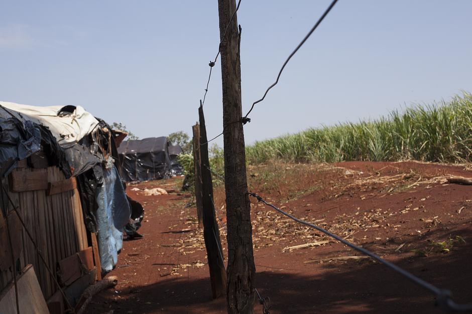 De igual modo que solo una delgada alambrada de pinchos ha separado el campamento de Apy Ka'y de la plantación de caña de azúcar que se apoderó de sus tierras, para los guaraníes entre el mundo exterior y el mundo interior solo existe una fina línea. 

Su hogar es el pilar de su identidad: vivir desconectado de este es como habitar en el purgatorio. 

_Hemos decidido luchar y morir por nuestra tierra_, afirmaba tajante Damiana después de llevar a cabo la retomada. 

