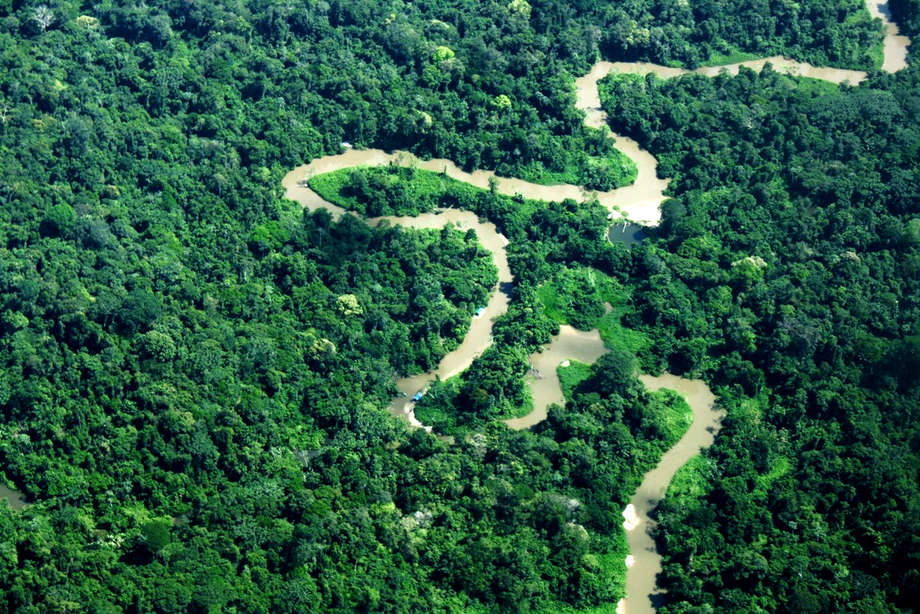 _Nur wir, die indigenen Menschen, wissen wie man den Regenwald schützt_, sagt Davi Kopenawa Yanomami. 

_Gebt uns unser Land zurück, bevor der Wald stirbt_.