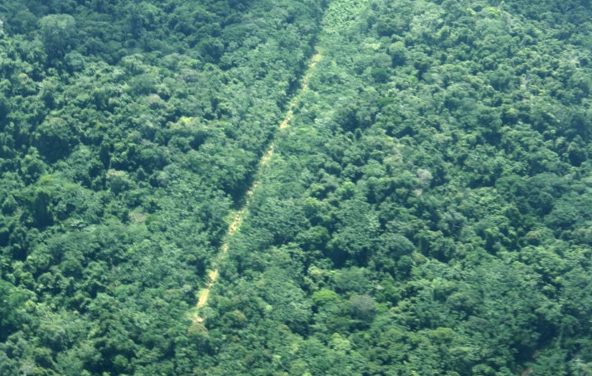 Piste d'atterrissage illégale au coeur du territoire des Yanomami