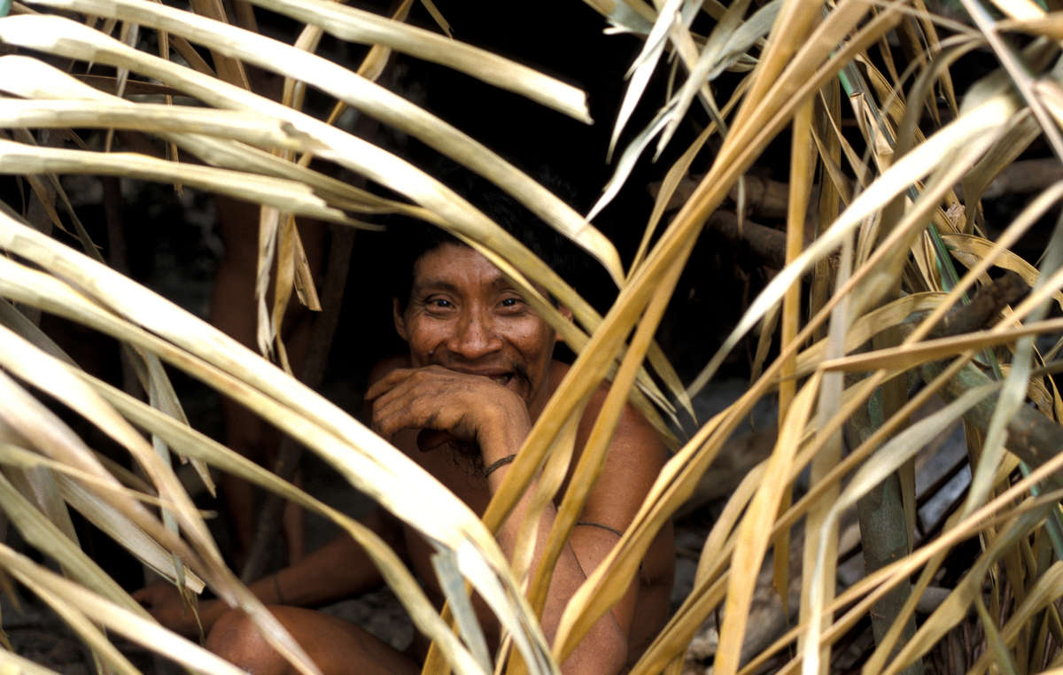 Der Awá-Mann Takwarentxia wurde 1992 zusammen mit seiner Frau und seinem Baby kontaktiert. Der Rest seiner Familie wurde von Söldnern getötet, die für einen Farmer Weideflächen rodeten.