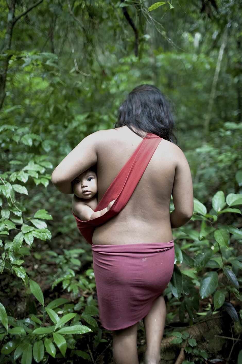 In den satten grünen Wäldern des brasilianischen Amazonasregenwaldes lernen die Kinder der "Awá":http://www.survivalinternational.de/awa schon von Beginn an, wie sie überleben können. 

Die Jungen spielen mit kleinen Pfeilen und Bogen, um die Fertigkeiten eines erfolgreichen Jägers zu erlernen; die Mädchen üben Früchte zu sammeln und daraus Açaí-Saft zu pressen.

Allen Awá-Kindern geben die Älteren ein enzyklopädisches Wissen über ihren Wald mit auf den Weg. 