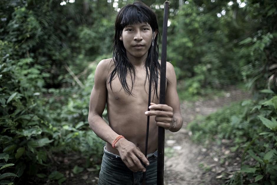 An Awá boy.  The Awá are one of the last nomadic hunter-gatherer tribes in the Brazilian Amazon.

The rainforest in the eastern Amazon has long provided the Awá with everything they need to survive.  They hunt for wild pigs, tapirs and monkeys with 6-foot bows, and gather nutritious forest produce, such as babaçu fruits, açai berries and honey. 

The Awá keep orphaned, wild animals as pets; the women care for baby monkeys by suckling them.
