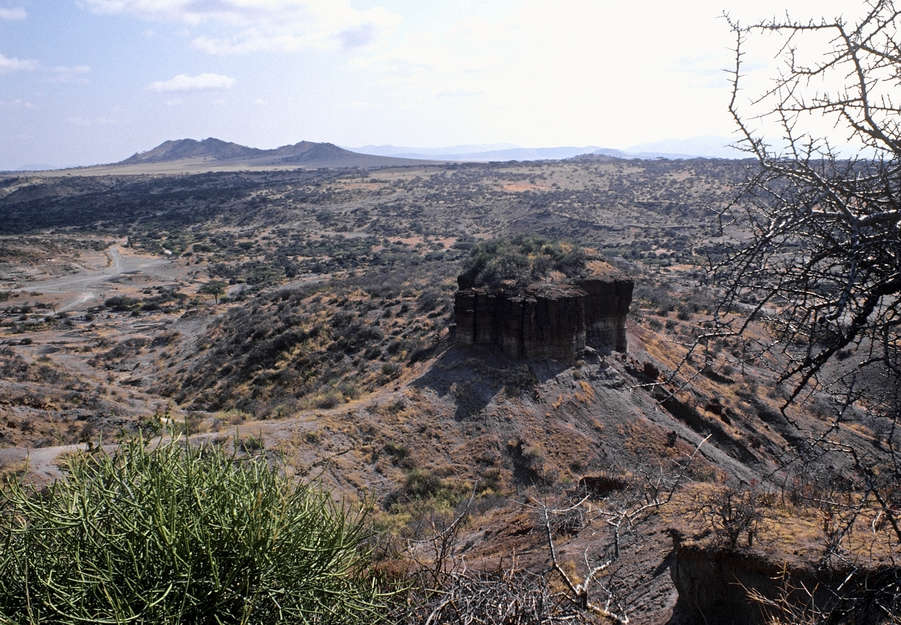 Olduvai Gorge lies in in the Great Rift Valley, Tanzania.

In 1992 the Tanzanian government granted the Ortello Business Corporation (OBC) exclusive safari and hunting rights in an area of Maasailand called Loliondo, in northern Tanzania.  OBC is reportedly linked to the United Arab Emirates royal families.

The Maasai had no say in the deal, and a concession was carved out of their land.  

_Without the land and cattle, there will be no Maasai_, said Tepilit ole Saitoti.

Maasailand has also been turned into private farms and government projects.