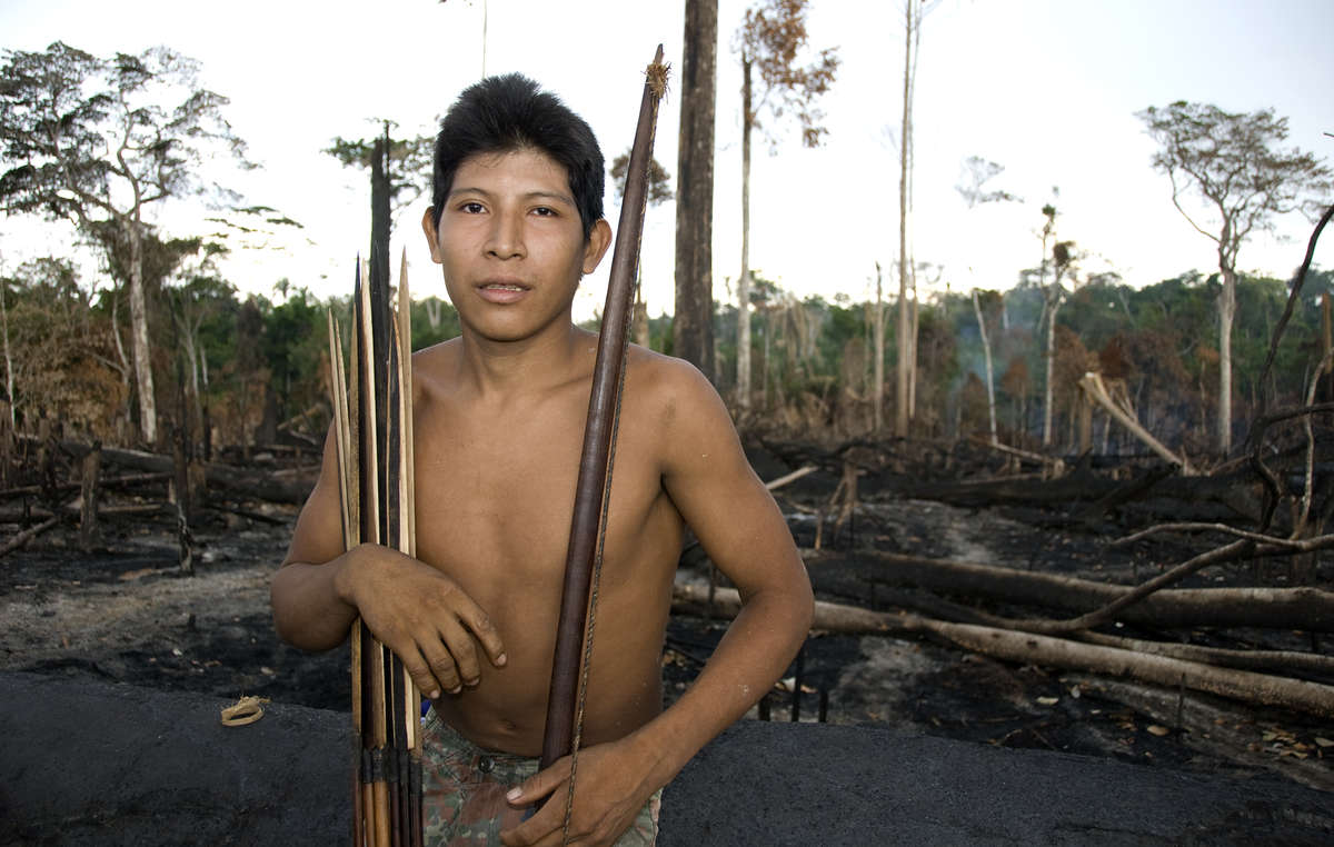 Many indigenous territories in Brazil have been burned by farmers and loggers for years, though 2019s fires are especially bad. Awá man Hemokomaá stands in his peoples forest after it was burned in 2010.