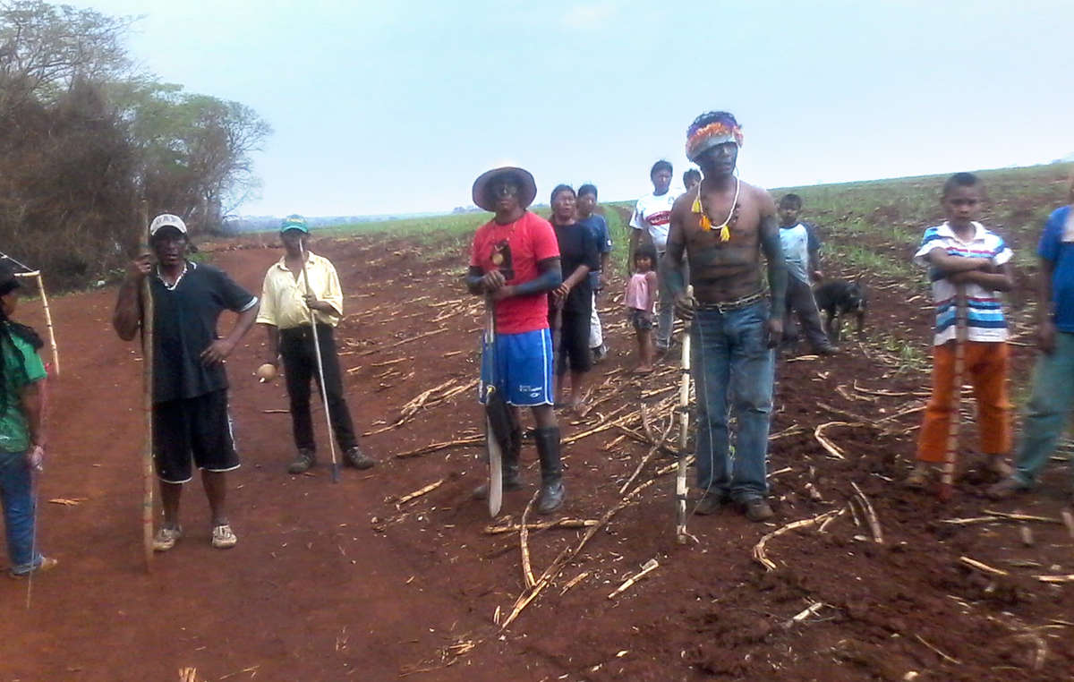 Los guaraníes de la comunidad de Apy Ka’y han regresado a su tierra ancestral, actualmente ocupada por una plantación de caña de azúcar, a pesar de las amenazas de muerte de los pistoleros.