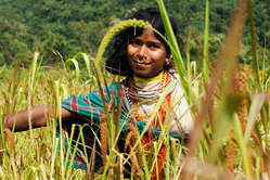 The Dongria depend entirely on the Niyamgiri Hills for their livelihood.