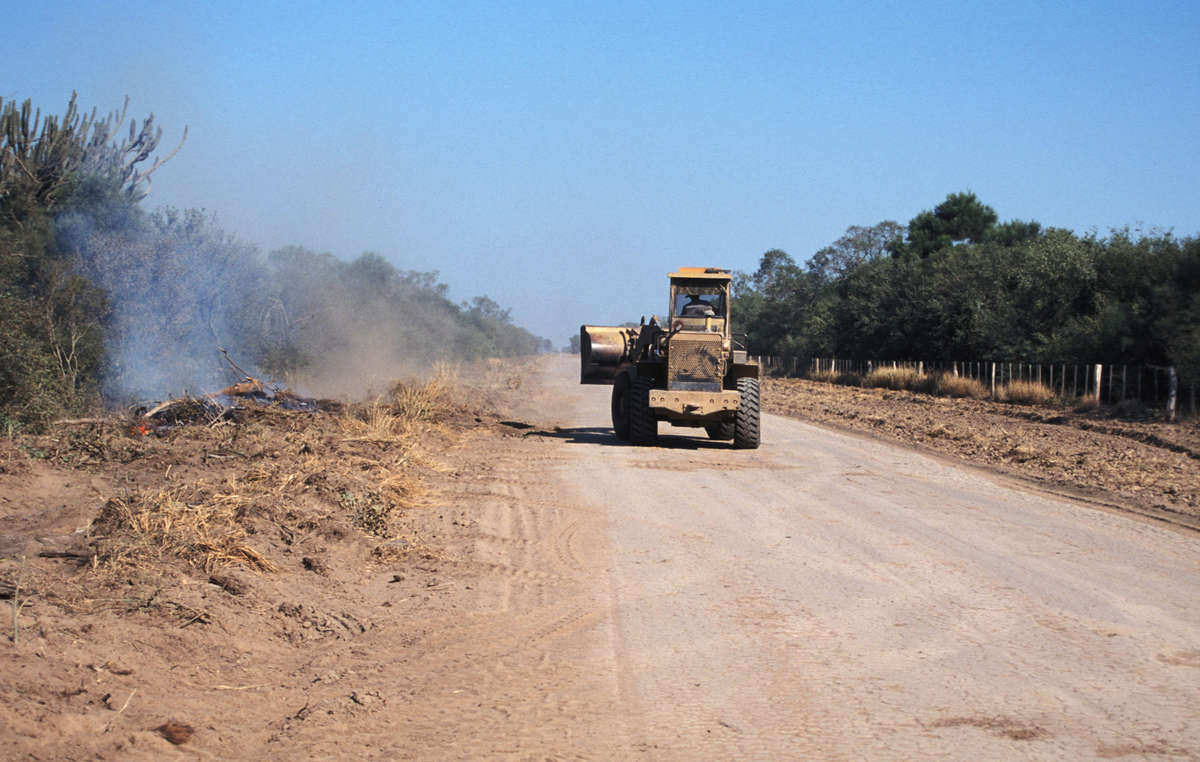 A bulldozer works on a road built through Ayoreo-Totobiegosode land, Paraguay